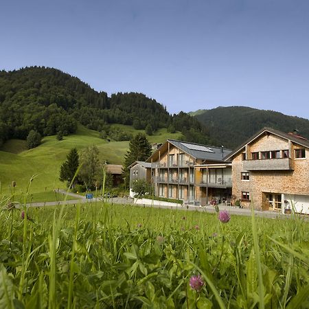 N Apartments Hotel Schoppernau Rum bild